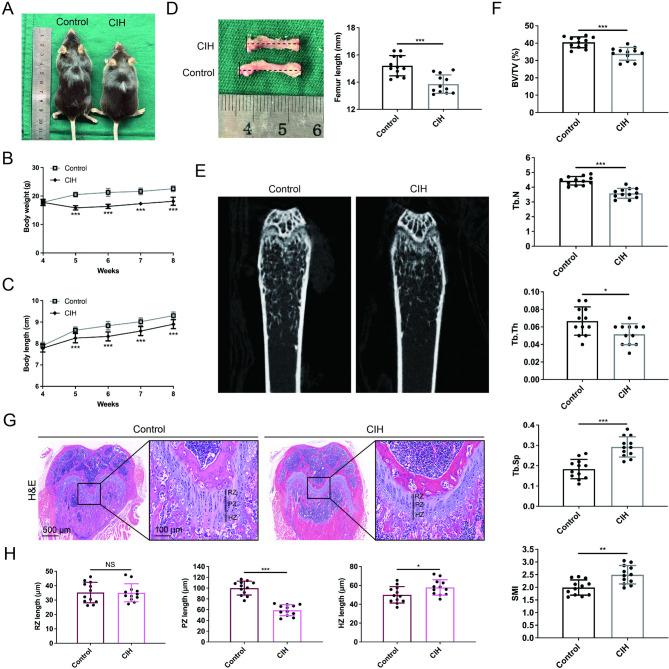 https://cdn.ncbi.nlm.nih.gov/pmc/blobs/0001/12306074/b0b34b5891c1/12967_2025_6849_Fig1_HTML.jpg