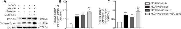 https://cdn.ncbi.nlm.nih.gov/pmc/blobs/0001/9838147/16312e7ea1c3/NRR-18-1293-g007.jpg
