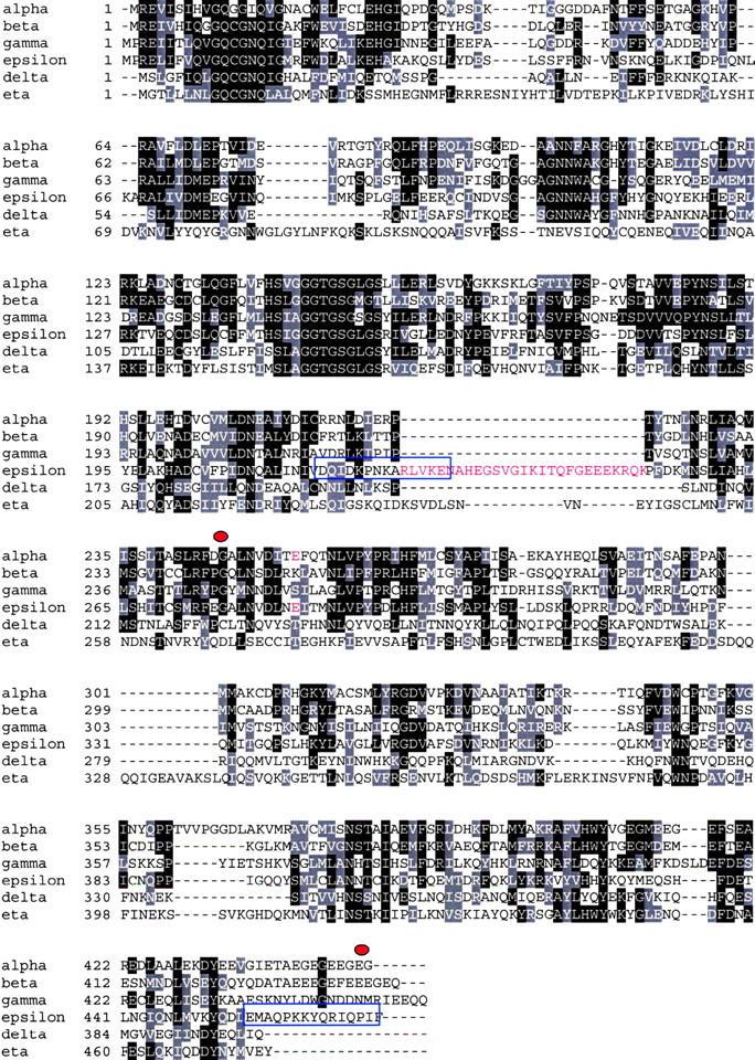 https://cdn.ncbi.nlm.nih.gov/pmc/blobs/0002/2173240/5cb175316390/200205028f1.jpg