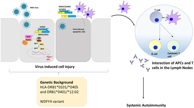 https://cdn.ncbi.nlm.nih.gov/pmc/blobs/0002/8000693/0e5910873195/296_2021_4819_Fig3_HTML.jpg