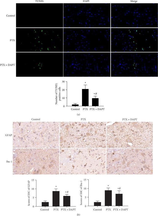 https://cdn.ncbi.nlm.nih.gov/pmc/blobs/0005/12031605/4a60dbebd49d/MI2025-4638804.003.jpg