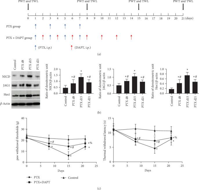https://cdn.ncbi.nlm.nih.gov/pmc/blobs/0005/12031605/98cae707856e/MI2025-4638804.001.jpg