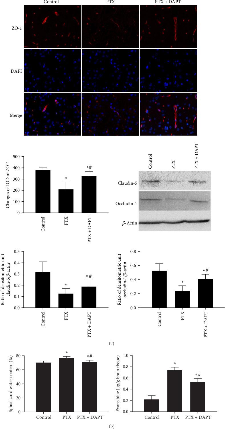 https://cdn.ncbi.nlm.nih.gov/pmc/blobs/0005/12031605/c25e2cb38028/MI2025-4638804.004.jpg