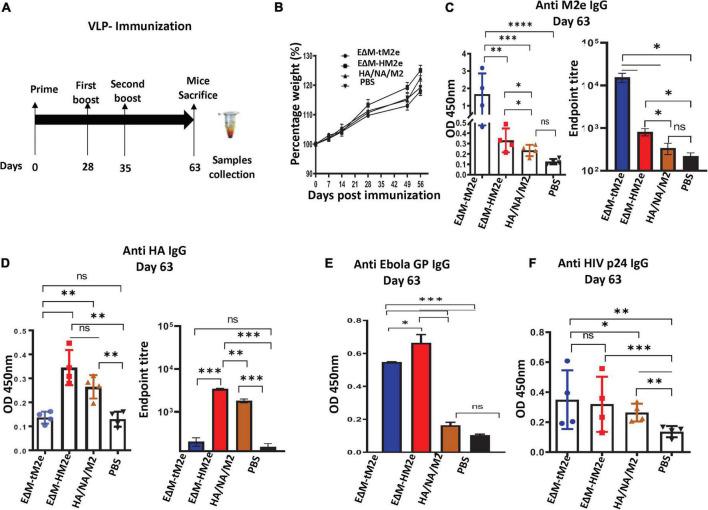 https://cdn.ncbi.nlm.nih.gov/pmc/blobs/0005/9393625/af29b06ba488/fmicb-13-937192-g002.jpg