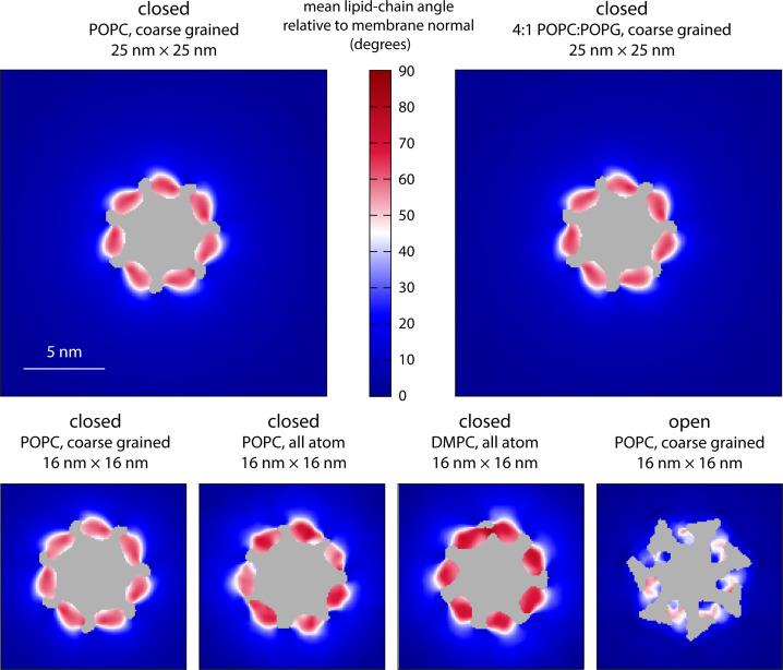 https://cdn.ncbi.nlm.nih.gov/pmc/blobs/0008/9925053/032487232225/elife-81445-fig5-figsupp1.jpg