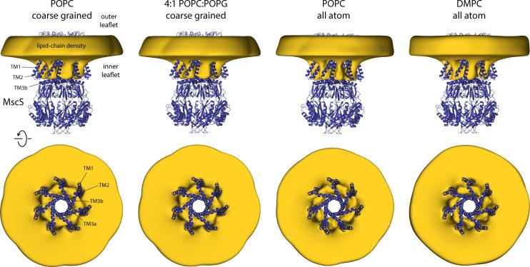 https://cdn.ncbi.nlm.nih.gov/pmc/blobs/0008/9925053/17ac378633e7/elife-81445-fig4.jpg