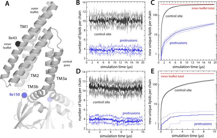 https://cdn.ncbi.nlm.nih.gov/pmc/blobs/0008/9925053/404286c46998/elife-81445-fig6.jpg