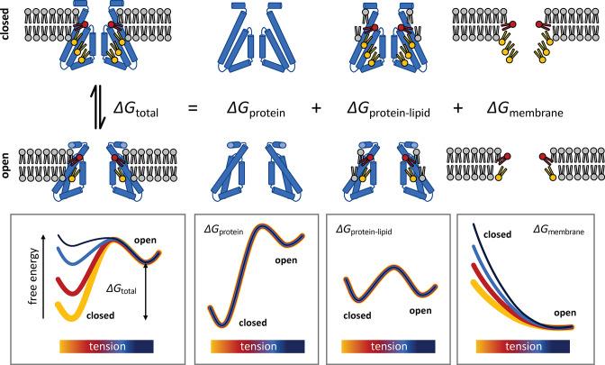 https://cdn.ncbi.nlm.nih.gov/pmc/blobs/0008/9925053/4a8e1b09468c/elife-81445-fig10.jpg