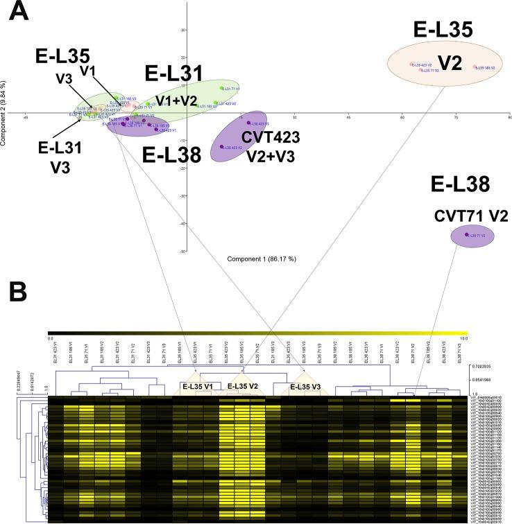 https://cdn.ncbi.nlm.nih.gov/pmc/blobs/0009/6904956/4adc6fcbddb5/fpls-10-01575-g004.jpg