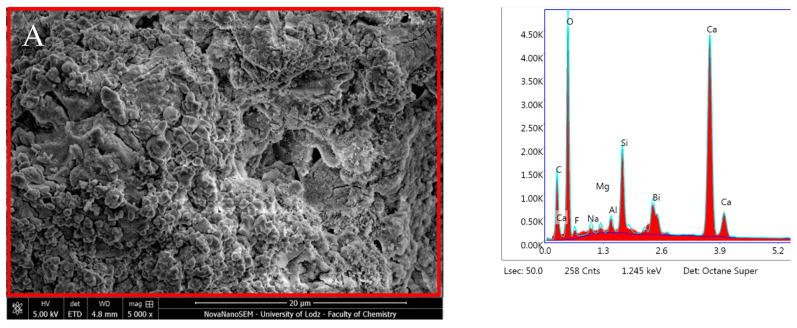 https://cdn.ncbi.nlm.nih.gov/pmc/blobs/000a/10857417/04f146d0832e/nanomaterials-14-00274-g011a.jpg