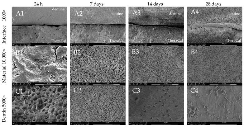 https://cdn.ncbi.nlm.nih.gov/pmc/blobs/000a/10857417/161228e968b8/nanomaterials-14-00274-g006.jpg