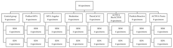 https://cdn.ncbi.nlm.nih.gov/pmc/blobs/000a/10857417/2e7ab0ca16fd/nanomaterials-14-00274-sch001.jpg