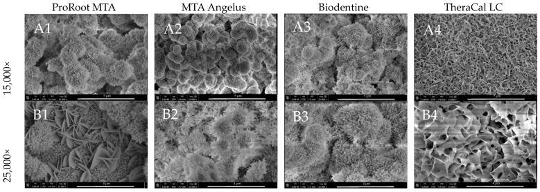 https://cdn.ncbi.nlm.nih.gov/pmc/blobs/000a/10857417/f3cb5bee1719/nanomaterials-14-00274-g007.jpg