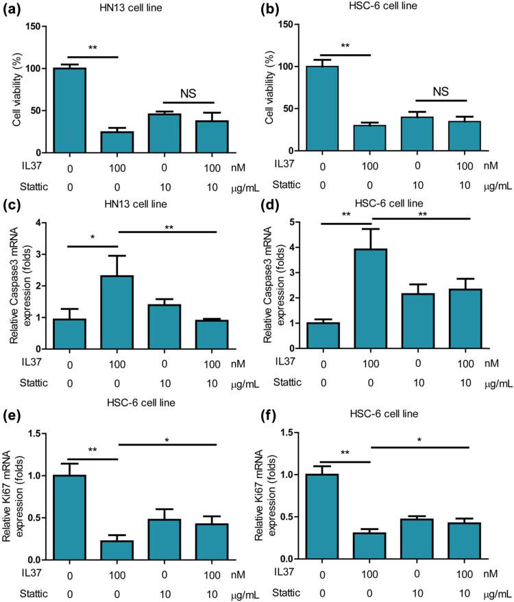 https://cdn.ncbi.nlm.nih.gov/pmc/blobs/000c/12120405/476908ec3f2a/j_med-2025-1173-fig006.jpg