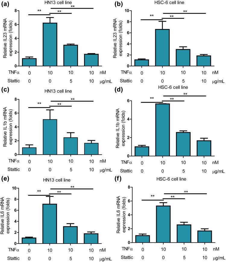 https://cdn.ncbi.nlm.nih.gov/pmc/blobs/000c/12120405/da2929918e2f/j_med-2025-1173-fig005.jpg