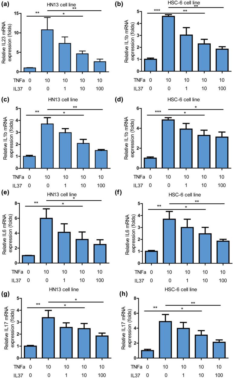 https://cdn.ncbi.nlm.nih.gov/pmc/blobs/000c/12120405/e613f37e563e/j_med-2025-1173-fig004.jpg