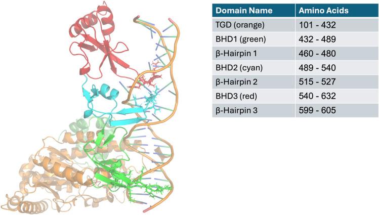 https://cdn.ncbi.nlm.nih.gov/pmc/blobs/000c/12441607/be4c2d80b6a8/fmolb-12-1654434-g001.jpg
