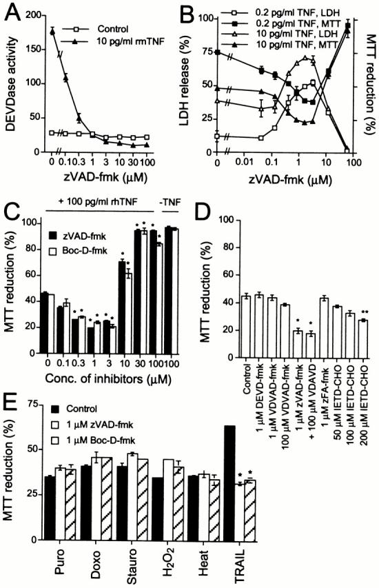 https://cdn.ncbi.nlm.nih.gov/pmc/blobs/000c/2174340/368626e3bf05/JCB0102105.f1.jpg