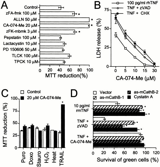 https://cdn.ncbi.nlm.nih.gov/pmc/blobs/000c/2174340/c0f67d121730/JCB0102105.f5.jpg