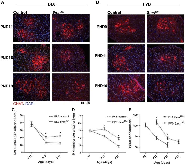 https://cdn.ncbi.nlm.nih.gov/pmc/blobs/000d/5409218/c1d5f8d827c6/ddw278f5.jpg