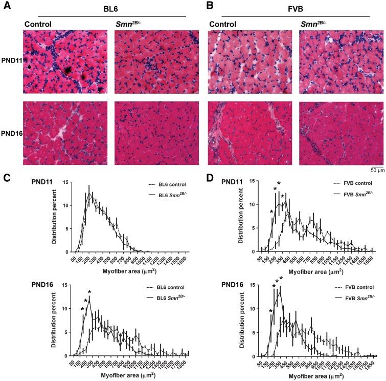 https://cdn.ncbi.nlm.nih.gov/pmc/blobs/000d/5409218/f9555874a069/ddw278f4.jpg