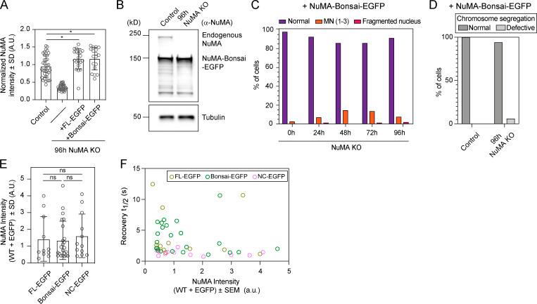 https://cdn.ncbi.nlm.nih.gov/pmc/blobs/000d/7555356/9265363e1a38/JCB_202004202_FigS2.jpg