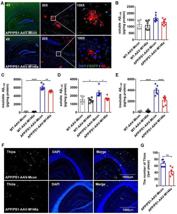 https://cdn.ncbi.nlm.nih.gov/pmc/blobs/000e/7977456/a65ceb87c77e/thnov11p4103g003.jpg