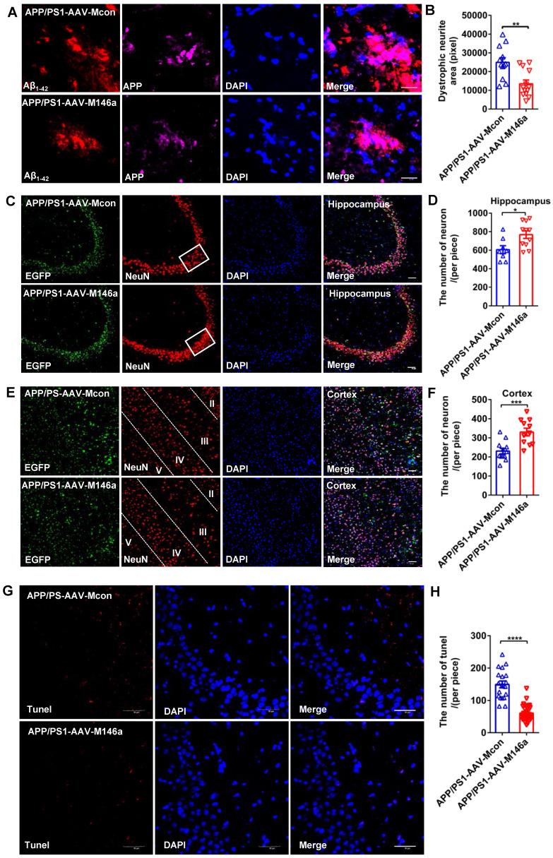 https://cdn.ncbi.nlm.nih.gov/pmc/blobs/000e/7977456/e10c2398a743/thnov11p4103g004.jpg