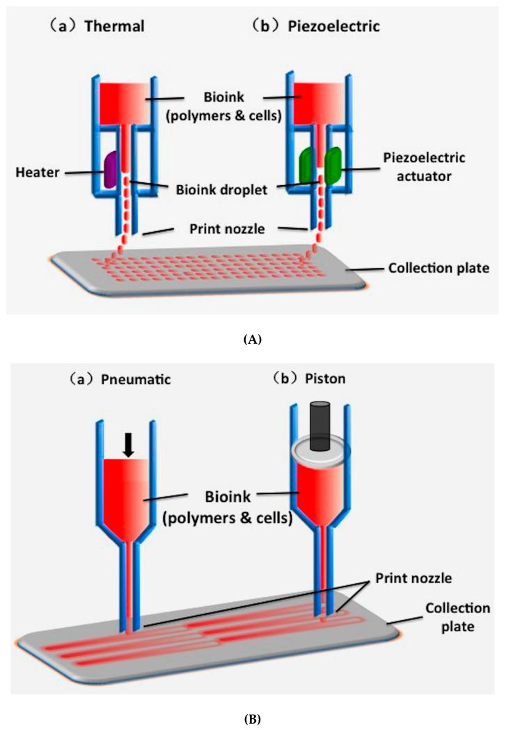 https://cdn.ncbi.nlm.nih.gov/pmc/blobs/000f/7466039/72c2c840fea6/polymers-12-01765-g001a.jpg