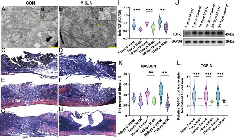 https://cdn.ncbi.nlm.nih.gov/pmc/blobs/0010/10916262/857121c49e2b/13287_2024_3655_Fig3_HTML.jpg