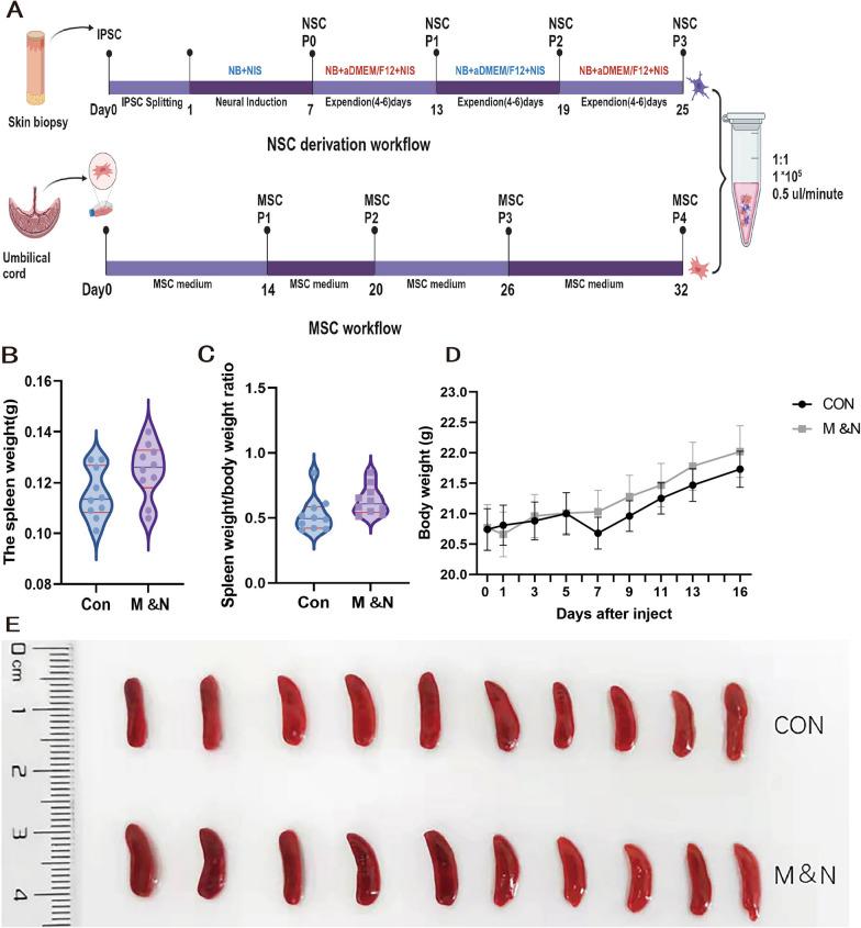 https://cdn.ncbi.nlm.nih.gov/pmc/blobs/0010/10916262/e75116b486e3/13287_2024_3655_Fig1_HTML.jpg