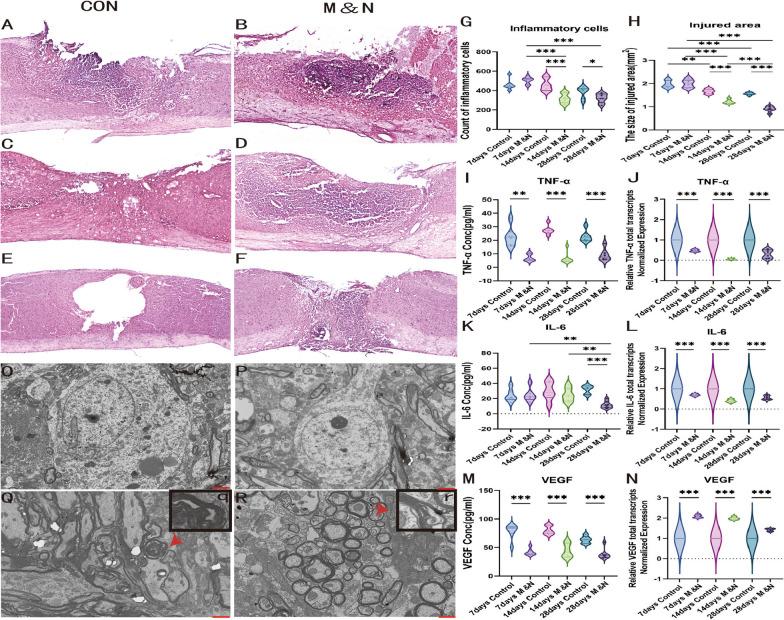 https://cdn.ncbi.nlm.nih.gov/pmc/blobs/0010/10916262/fcddc684b142/13287_2024_3655_Fig4_HTML.jpg