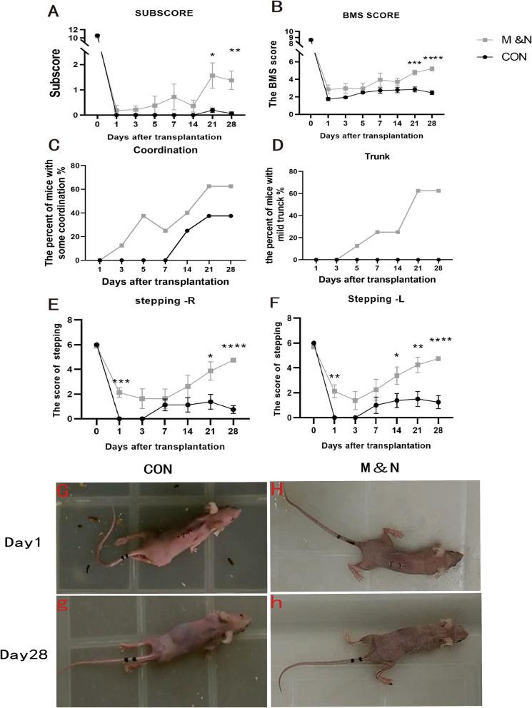 https://cdn.ncbi.nlm.nih.gov/pmc/blobs/0010/10916262/ffb30857b465/13287_2024_3655_Fig2_HTML.jpg