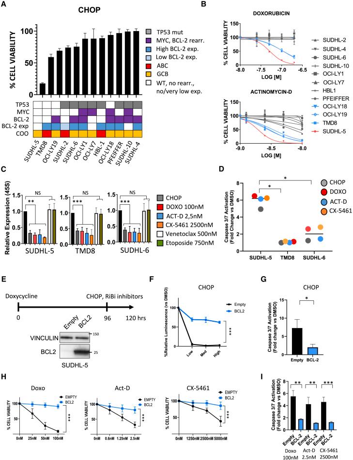 https://cdn.ncbi.nlm.nih.gov/pmc/blobs/0010/12020883/2a17debe7b40/gr1.jpg