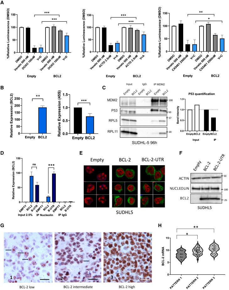 https://cdn.ncbi.nlm.nih.gov/pmc/blobs/0010/12020883/84a350e7481d/gr2.jpg