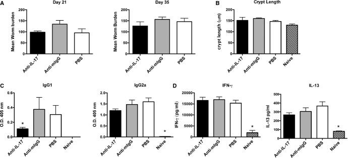 https://cdn.ncbi.nlm.nih.gov/pmc/blobs/0013/4141702/85fa48535a2d/imr0260-0183-f4.jpg