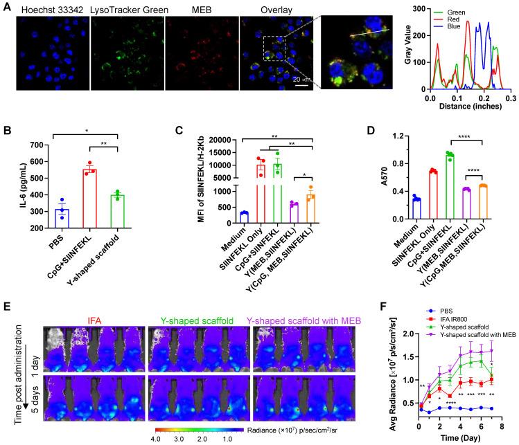 https://cdn.ncbi.nlm.nih.gov/pmc/blobs/0015/10465217/318f301fb60d/thnov13p4304g003.jpg