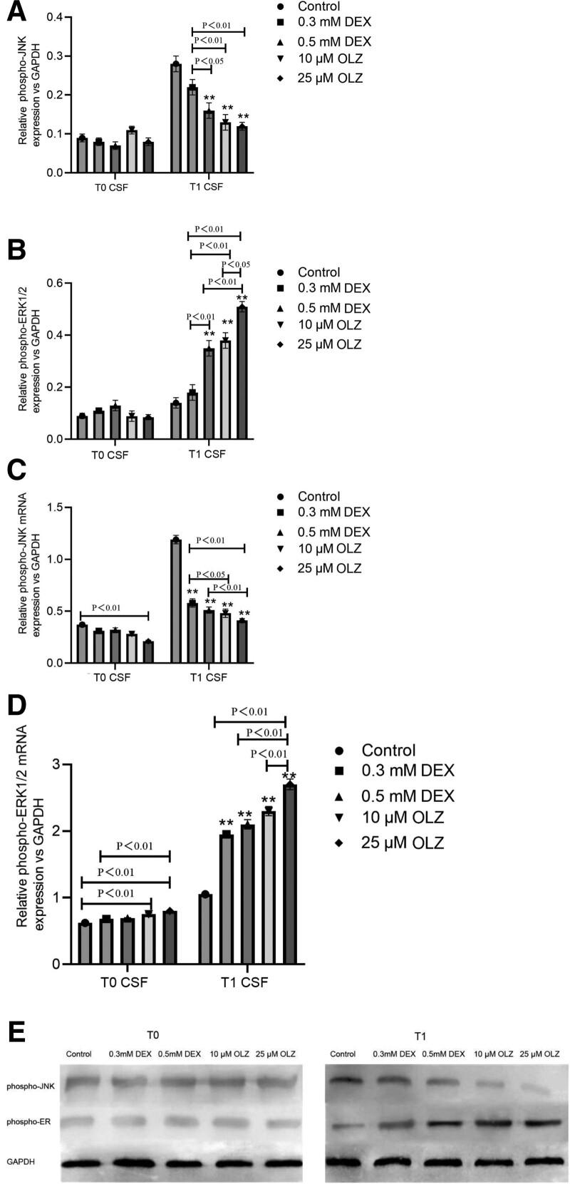 https://cdn.ncbi.nlm.nih.gov/pmc/blobs/0019/11062712/be48b8f24fcd/medi-103-e37931-g003.jpg