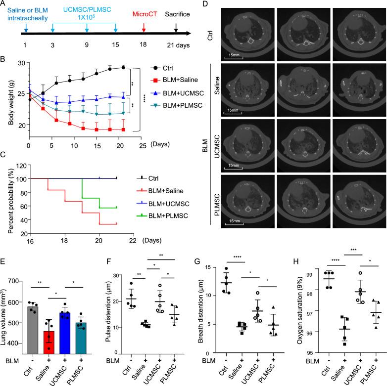 https://cdn.ncbi.nlm.nih.gov/pmc/blobs/001c/11657361/f791bc3a534d/13287_2024_4091_Fig1_HTML.jpg