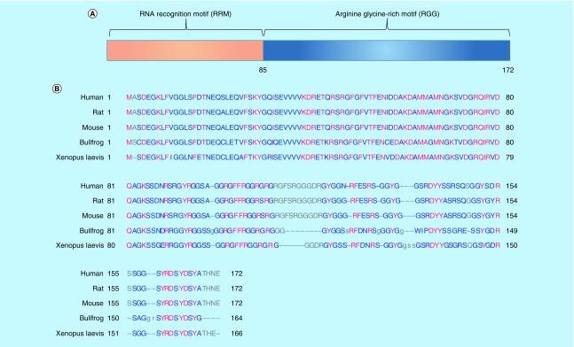 https://cdn.ncbi.nlm.nih.gov/pmc/blobs/001c/5674272/60b8a14d6ecc/fsoa-03-246-g1.jpg