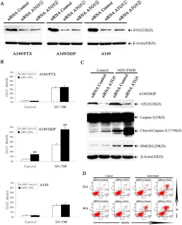 https://cdn.ncbi.nlm.nih.gov/pmc/blobs/001d/4141091/dead76f25a20/12885_2014_4772_Fig4_HTML.jpg