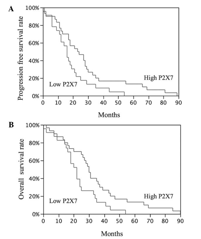 https://cdn.ncbi.nlm.nih.gov/pmc/blobs/001d/4247004/d812cf3ad0cf/OL-09-01-0449-g00.jpg