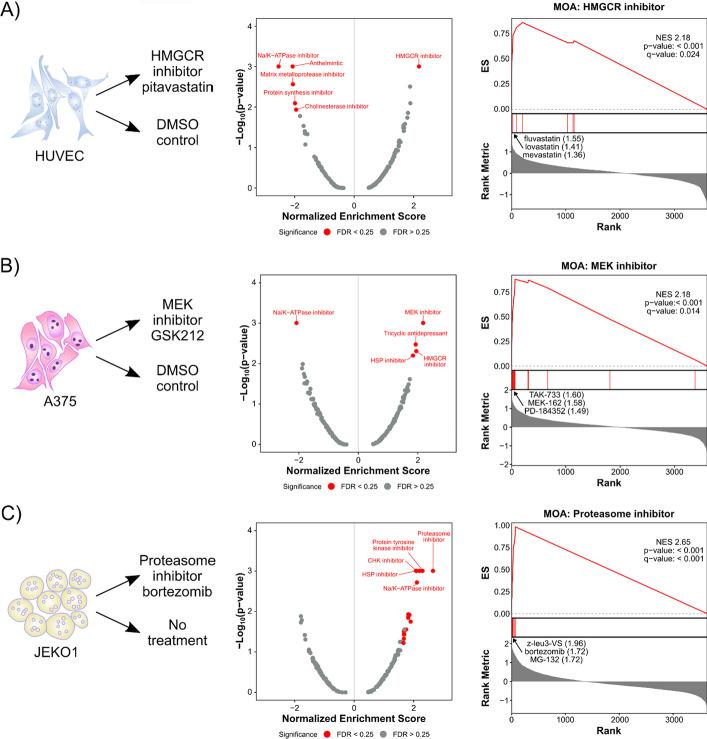 https://cdn.ncbi.nlm.nih.gov/pmc/blobs/001e/10207828/8ef59c56e00a/12859_2023_5343_Fig4_HTML.jpg