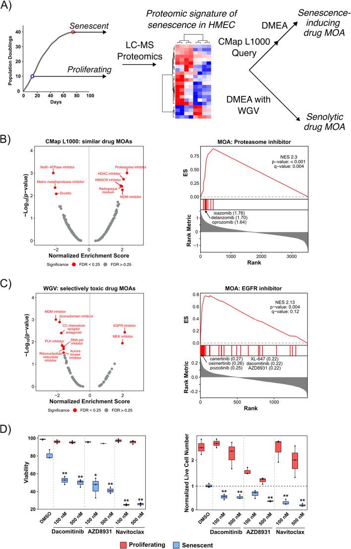 https://cdn.ncbi.nlm.nih.gov/pmc/blobs/001e/10207828/98370de3a940/12859_2023_5343_Fig7_HTML.jpg