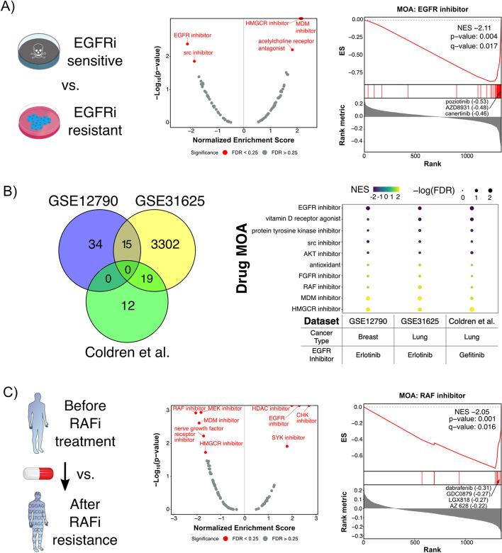 https://cdn.ncbi.nlm.nih.gov/pmc/blobs/001e/10207828/ccebecc5e043/12859_2023_5343_Fig6_HTML.jpg