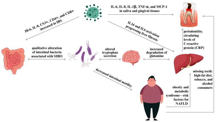 https://cdn.ncbi.nlm.nih.gov/pmc/blobs/001e/11351600/b7a1dbb58e9a/biomedicines-12-01854-g002.jpg