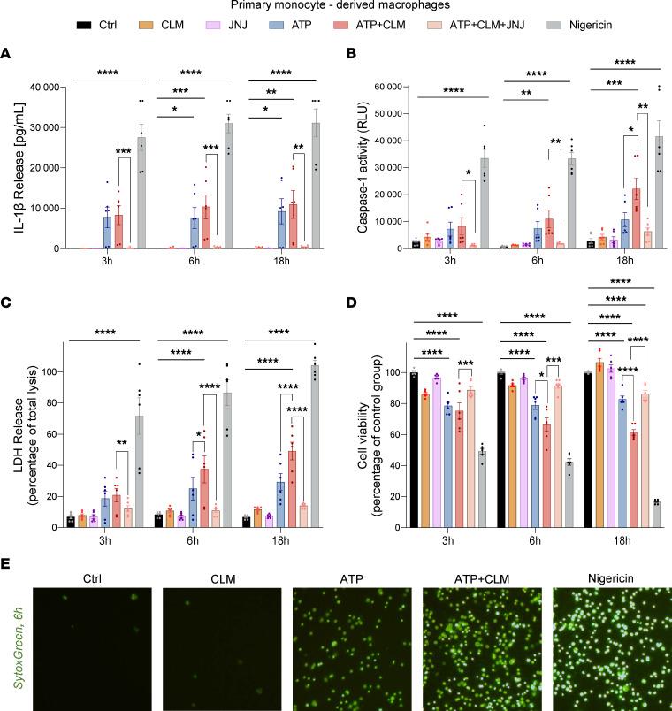 https://cdn.ncbi.nlm.nih.gov/pmc/blobs/0020/12077908/a0473ccc8819/jci-135-183941-g125.jpg