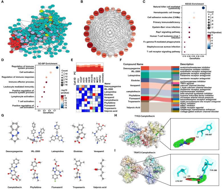 https://cdn.ncbi.nlm.nih.gov/pmc/blobs/0021/11320606/aebe2117225d/fimmu-15-1431452-g007.jpg