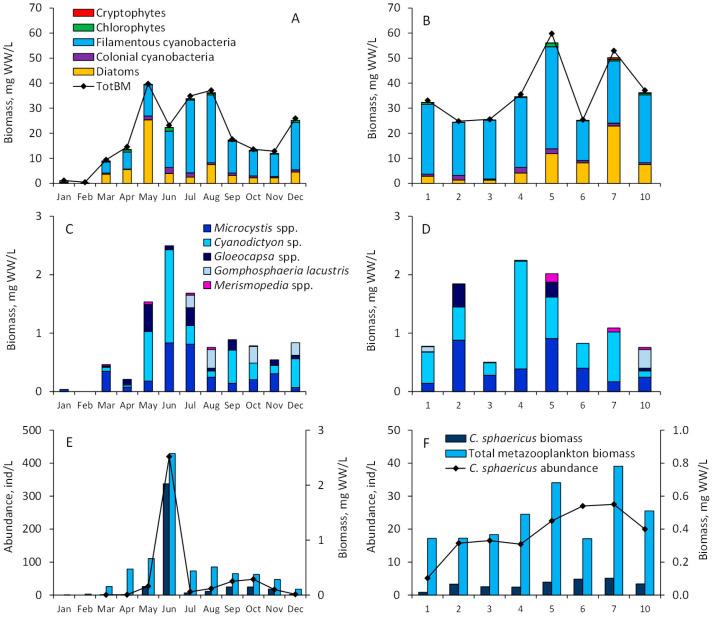 https://cdn.ncbi.nlm.nih.gov/pmc/blobs/0021/12197402/af1355425b10/toxins-17-00298-g003.jpg
