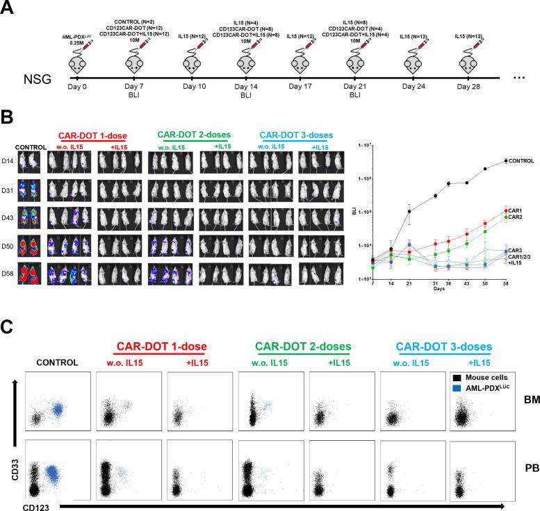 https://cdn.ncbi.nlm.nih.gov/pmc/blobs/0022/9516293/5a71b9ca69fa/jitc-2022-005400f04.jpg